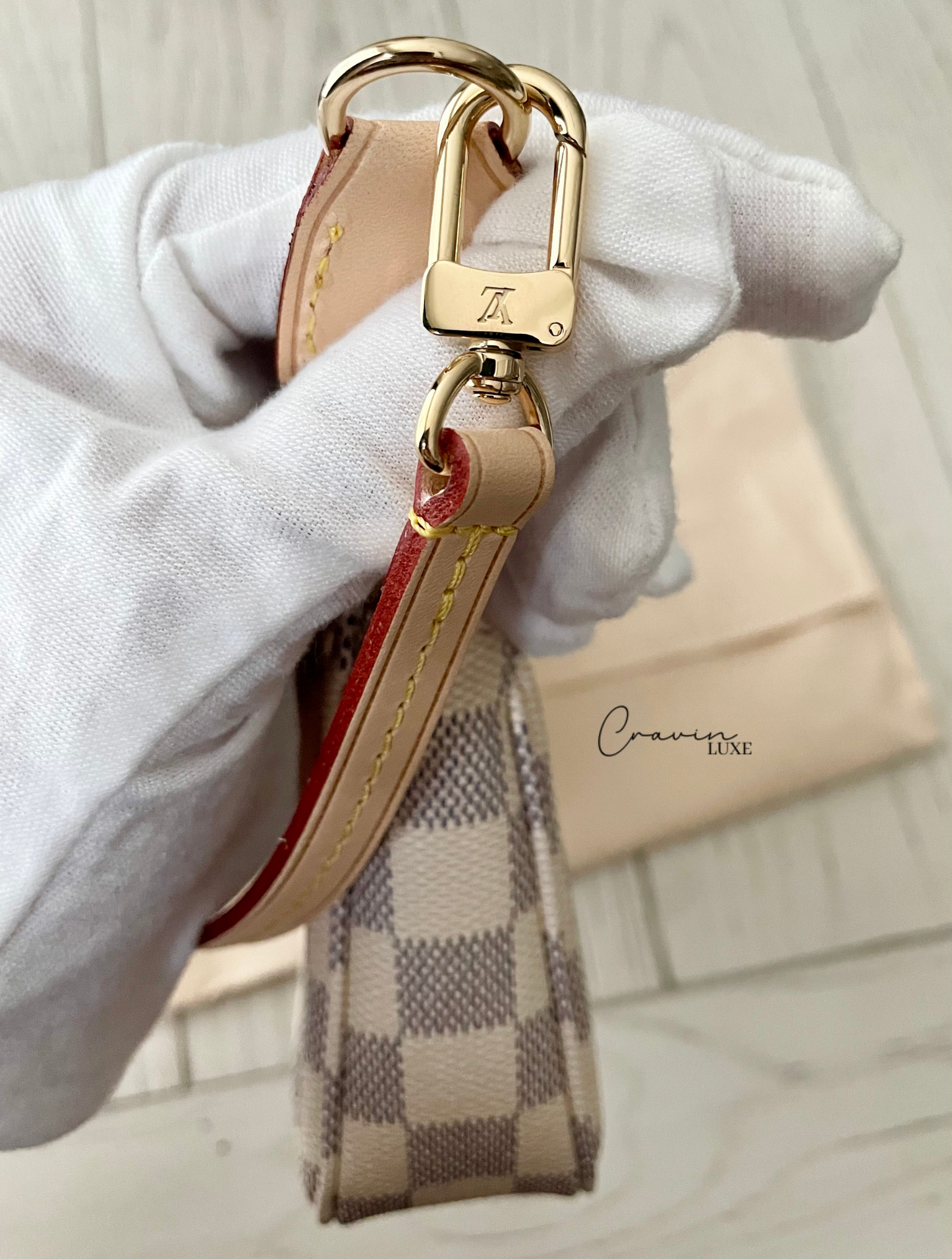 Louis Vuitton Pochette Accessoires