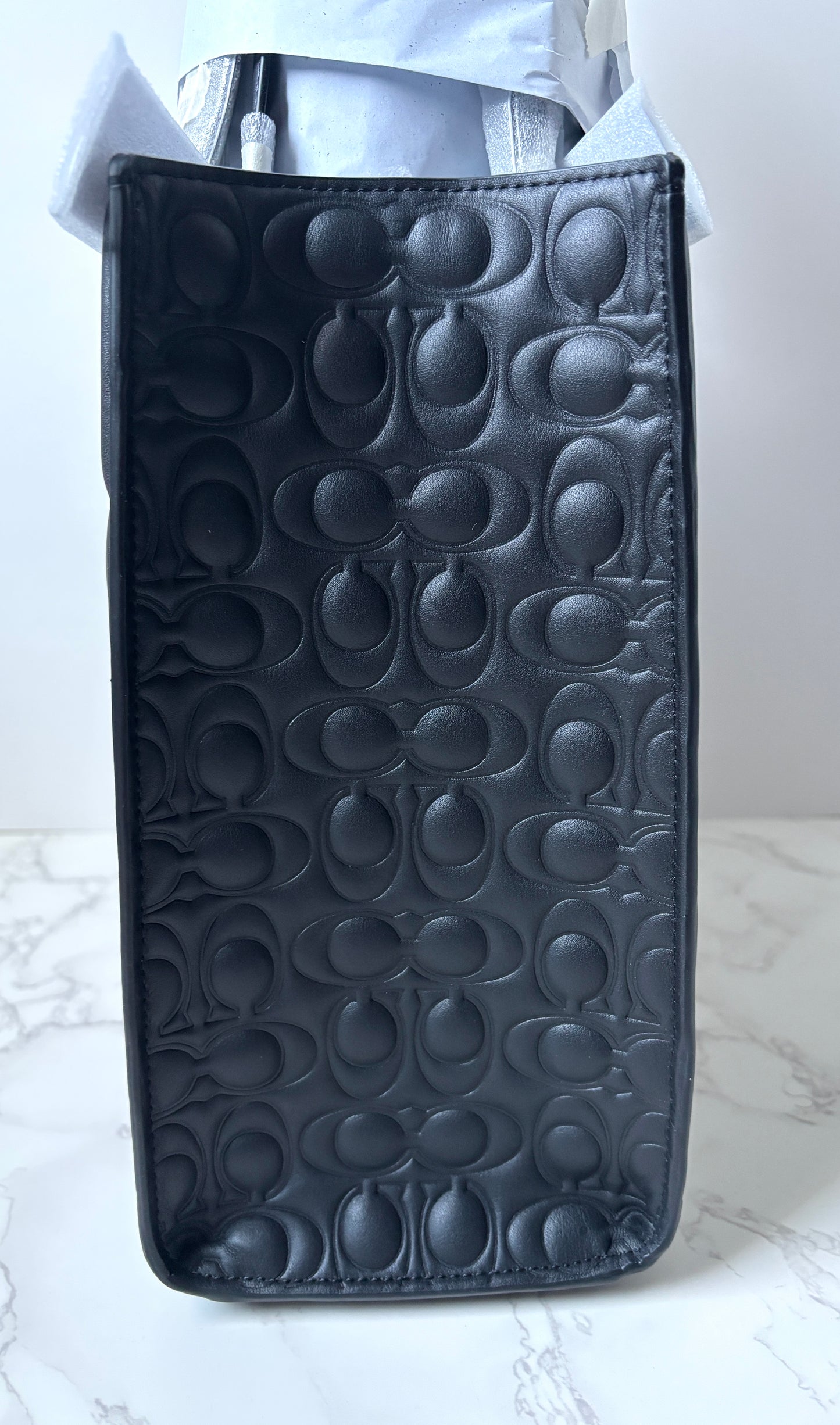 Coach Maggie Tote Signature Leather