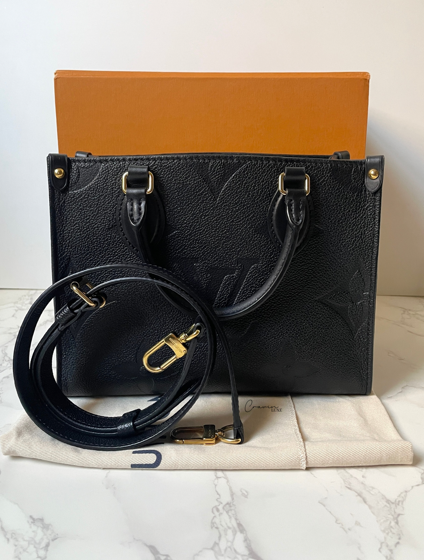 Louis Vuitton OntheGo PM