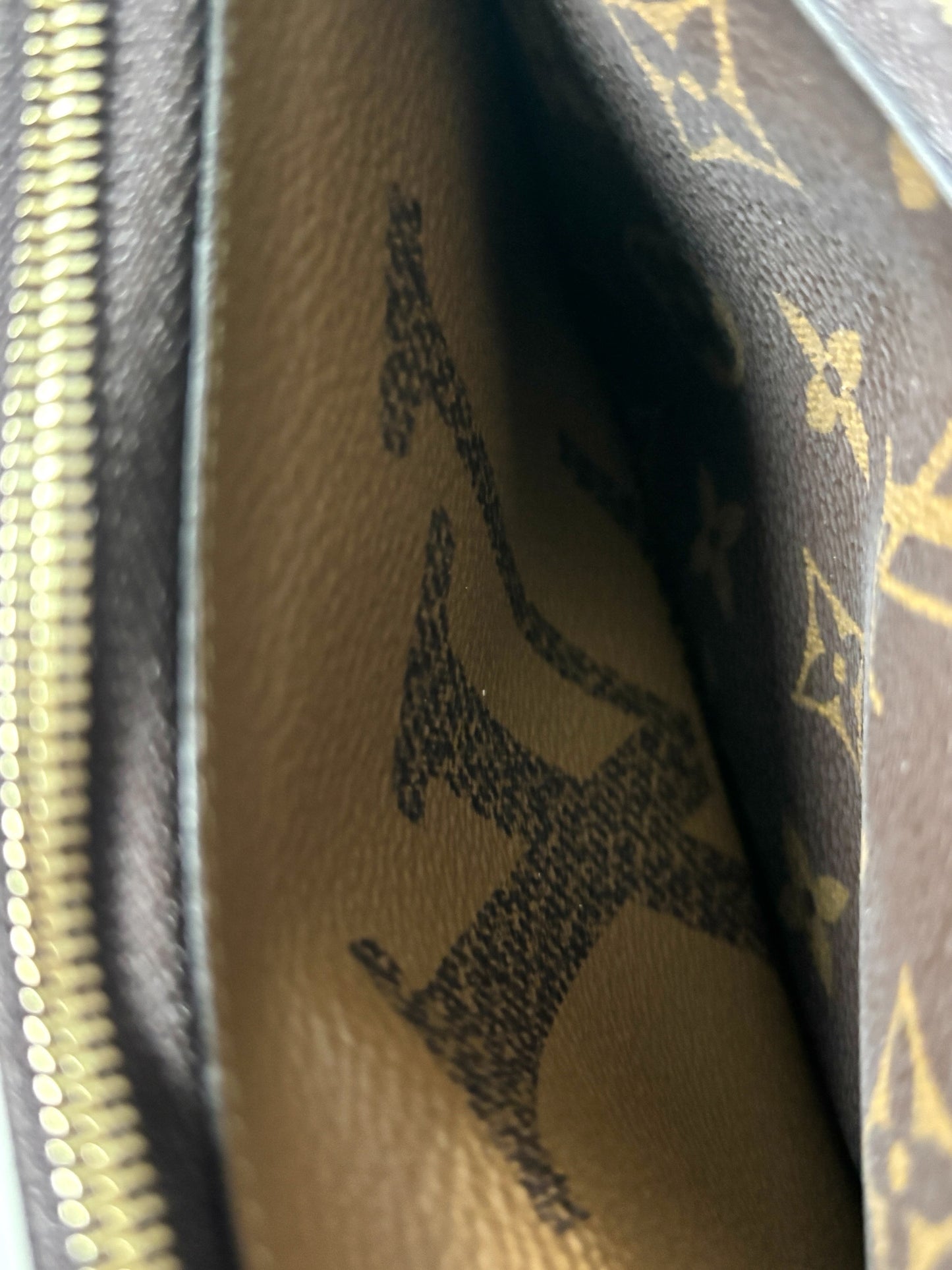Louis Vuitton Double Zip Pochette