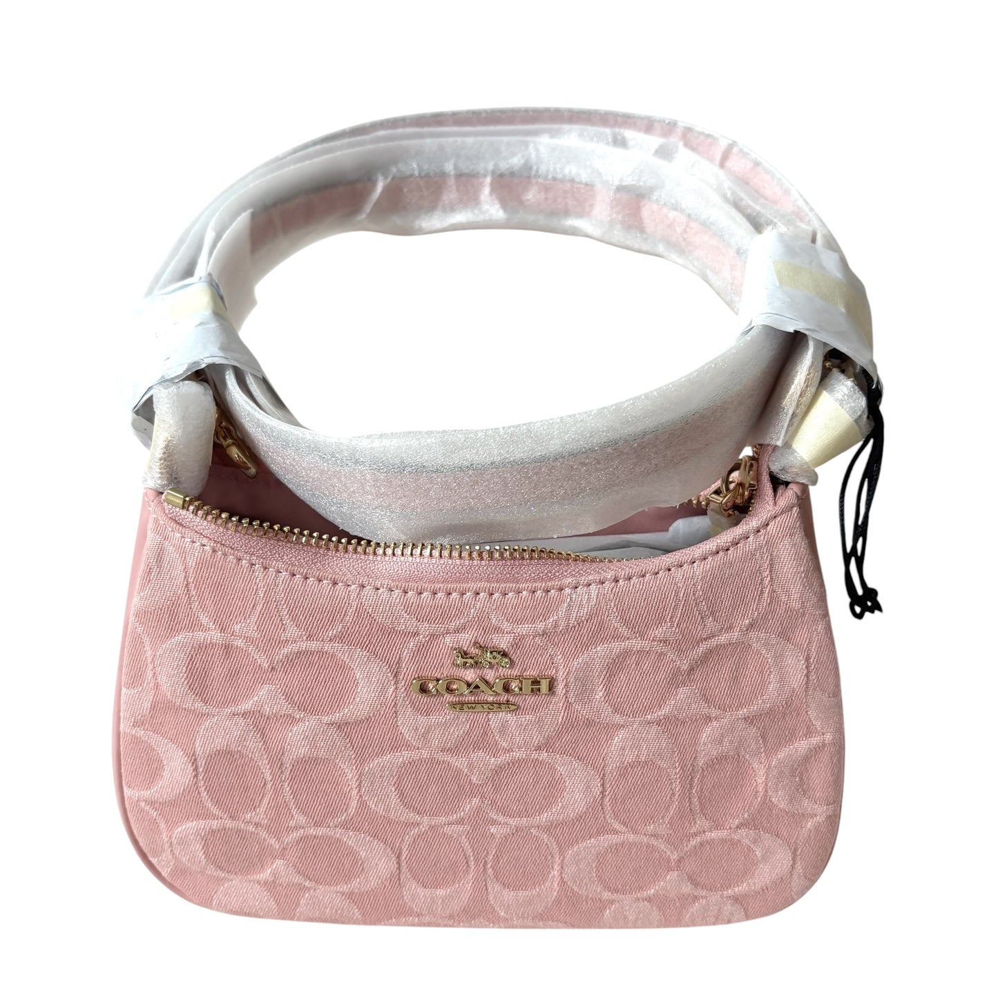 Coach Mini Teri Shoulder Bag