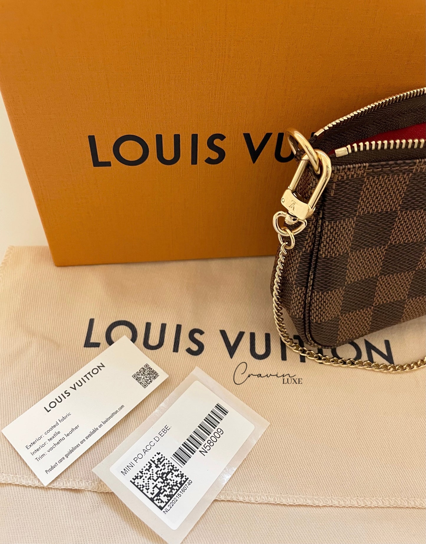 Louis Vuitton Mini Pochette Accessoires