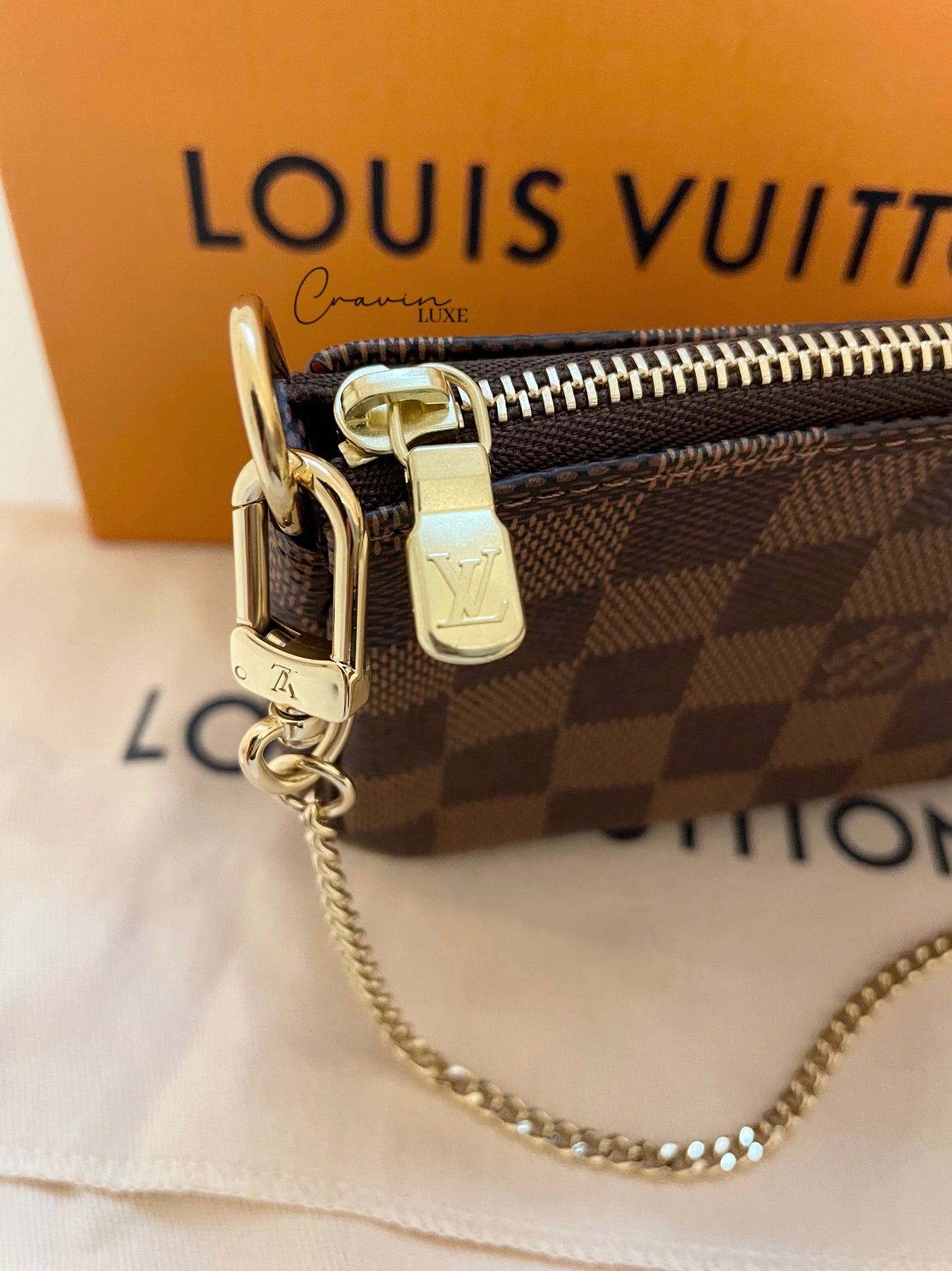 Louis Vuitton Mini Pochette Accessoires